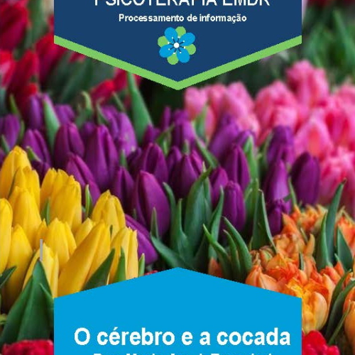 O cérebro e a cocada