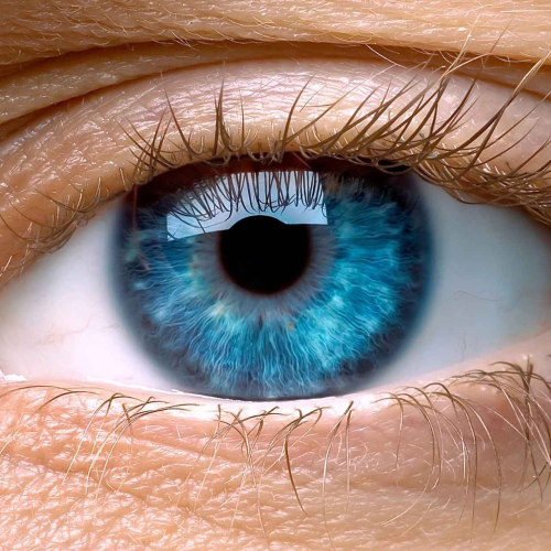 Cursos Avançados em EMDR - Programa